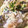 4123SRs's cooksnap of when they made ウマし恥ずかしサバ缶丼.