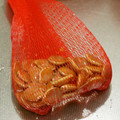 おっしょさん's cooksnap of when they made かぼちゃの種を簡単に洗う方法.