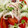 クックコロ号☆'s cooksnap of when they made いかと野菜のマリネ風♥サラダ.