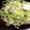２４なるるん's cooksnap of when they made 白菜とベーコンの塩焼きそば.