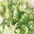 てんてん1号's cooksnap of when they made カラッと揚がる♪大葉の天ぷら.