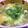 Haru Haru's cooksnap of when they made こごみの中華スープ.