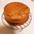 ひろかえ's cooksnap of when they made 簡単♪チョコレートのスフレチーズケーキ♪.