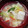 みきんこ✿'s cooksnap of when they made 長ネギと豆腐のぽかぽかスープ.