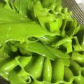 meguミ's cooksnap of when they made 簡単！生めかぶの下処理.