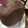 ひなこまめ's cooksnap of when they made 甘くないココア食パン.