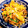 えこ★えこ's cooksnap of when they made 焼肉のたれで豚肉ときのこの野菜炒め.
