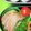 クックDAD's cooksnap of when they made ヘルシオでチャーシュー♪.