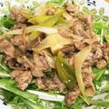 YUKIKI☆'s cooksnap of when they made 材料4つ★豚肉と長ねぎのマヨポン炒め.