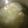 マリアマリママ's cooksnap of when they made 加熱5分！手羽先と冬瓜のやさしいスープ.