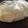 ジュラーシカ's cooksnap of when they made 簡単すぎ！大根の漬物☆.