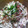 ねこ神様's cooksnap of when they made 簡単！エノキの梅おかか和え♪.