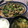 Faiza's cooksnap of when they made 蓮根と鶏肉の韓国風煮込み.