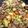 Rieko_ｓ♪♪'s cooksnap of when they made キャベツと鶏レバーのスパイシー炒め.
