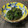 koiko亭's cooksnap of when they made 真っ黒け！ほうれん草の黒胡麻和え.