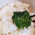 ほのほのほのっぴ's cooksnap of when they made 簡単・男飯・大葉の浅漬け(ご飯のお供).
