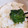 ほのほのほのっぴ's cooksnap of when they made 簡単・男飯・大葉の浅漬け(ご飯のお供).