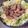 しゅい6's cooksnap of when they made パワーチャージに！豚肉のスタミナ漬け.