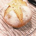 ハチワレねこ's cooksnap of when they made ポピーシード＆ピスタチオカンパーニュ.