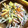 プロコフィエフ's cooksnap of when they made にんじんとごぼうの和風マヨサラダ.