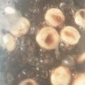 吉子☆'s cooksnap of when they made 親子で楽しく♪白玉ぜんざい.