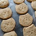 うめこちゃんち's cooksnap of when they made ビニール袋でサクッとプレーンクッキー.