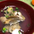 ズーミノ's cooksnap of when they made アサリのお吸い物.