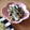 」りふ's cooksnap of when they made ✿わかめツナきゅうりのマヨ和え✿.