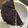 クックLYZEGY☆'s cooksnap of when they made ブルーベリー＆チョコのタルト.