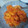 クックXTC4HX☆'s cooksnap of when they made 本格的に作るエビマヨ.