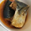 ユカtoマオマオ's cooksnap of when they made 鯖のコチュジャン煮.