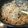 福ねこニャン's cooksnap of when they made たらこの子和え.