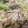 べるＬ＠ＮＩ's cooksnap of when they made ●もやしとえのきのポン酢炒め●.