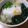 ひとひとの素's cooksnap of when they made かけ蕎麦 ★温玉のせ♪.