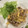 ラフらん's cooksnap of when they made 豚バラ肉ともやしのふんわり卵炒め.
