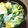 そらてんママ's cooksnap of when they made かぶ入りでお野菜たっぷりの中華卵スープ♪.