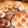 hinahimaママ's cooksnap of when they made 中力粉でお手軽。ふわふわミルクパン。.
