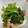 クックJNAJUS☆'s cooksnap of when they made しめじとほうれん草のバター醤油炒め.