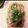 めぐぅぅ～'s cooksnap of when they made こんにゃくすてーき.