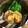horseland's cooksnap of when they made 簡単♪がんもどきの煮物.