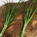 horseland's cooksnap of when they made パセリの茎は冷凍保存で完全活用！.
