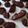 クックU2XSJ5☆'s cooksnap of when they made 林檎とチョコでポムショコラ#バレンタイン.
