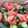 みこひろママ's cooksnap of when they made 胡瓜とトマトの簡単　夏副菜.