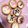 クックルンルンルン☆'s cooksnap of when they made 子供と作る♪簡単♡ハートのチョコタルト♡.