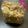 クックれみころ's cooksnap of when they made ワンコがよろこぶ簡単犬用クッキー.