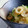 ピンクのたまご's cooksnap of when they made 新玉ねぎときゅうりのみそ和え☆.