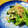 ｍiＫa's cooksnap of when they made 菜の花からし和え.