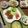 ぐりtoぐら's cooksnap of when they made ウドとシーチキンのサラダ.