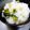 ふうはっちゃん's cooksnap of when they made ブロッコリーご飯.