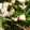 クックXOJD7S☆'s cooksnap of when they made ほうれん草としめじと厚揚げのバターソテー.